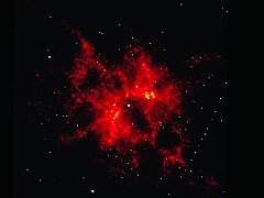 Hottest Star NGC 2440 Nucleus